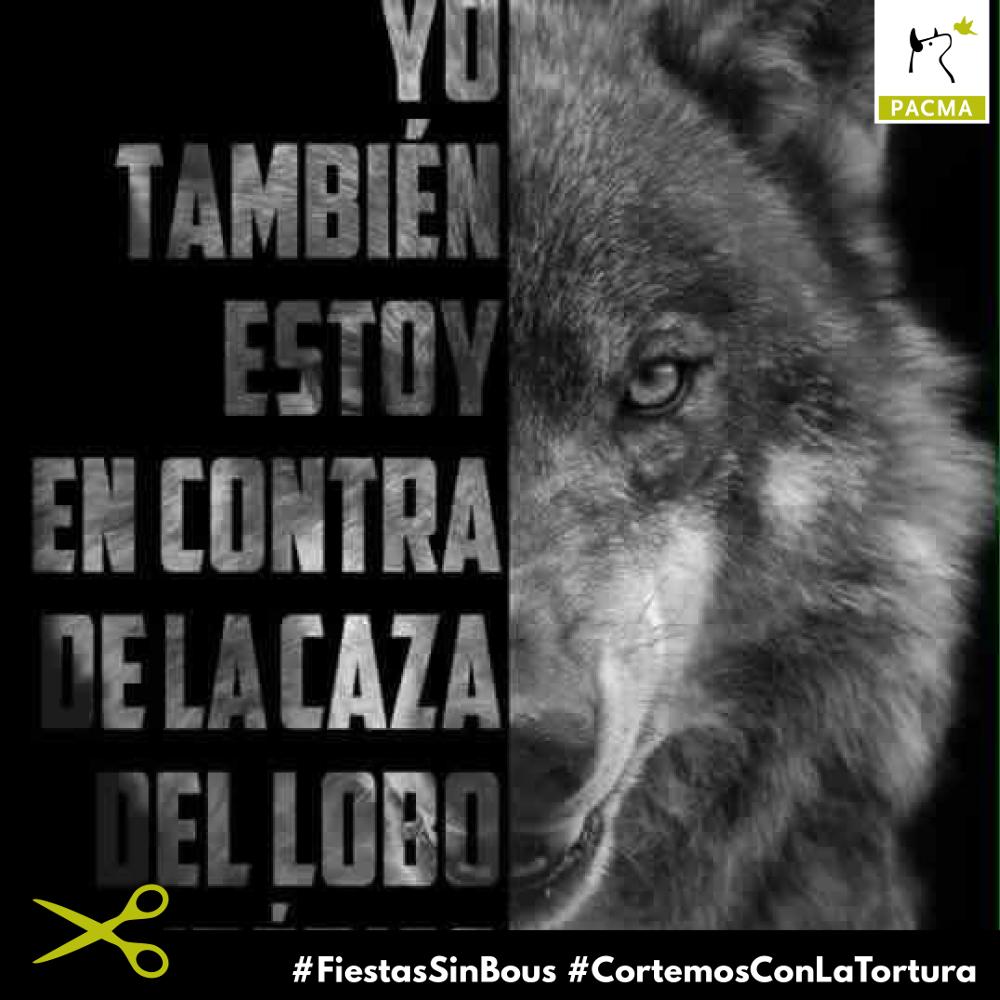 Featured image of post Cool Perfil Fotos De Lobos Ver m s ideas sobre fotos de lobo arte de lobos lobos