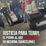 Justicia para Terry, el perro asfixiado en Barcelona
